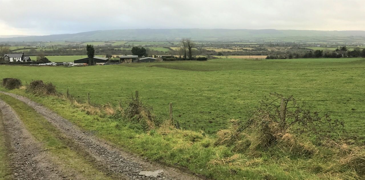 Beef focus: 'Moving to organic beef is the best decision I've made'