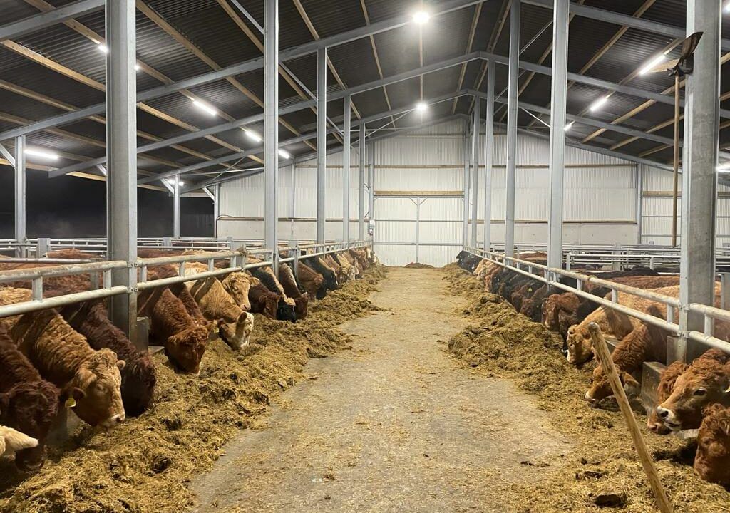 Factory quotes: Base price hits €6/kg despite post-storm difficulties