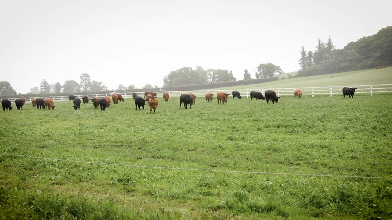 Agriculture output price index up 10% on last year
