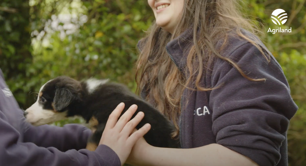 Watch: ISPCA marks 75 years of protecting Ireland's animals