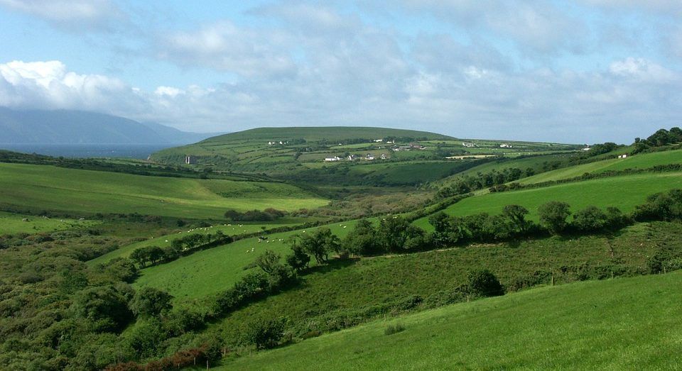 Land in short supply for leasing in Munster