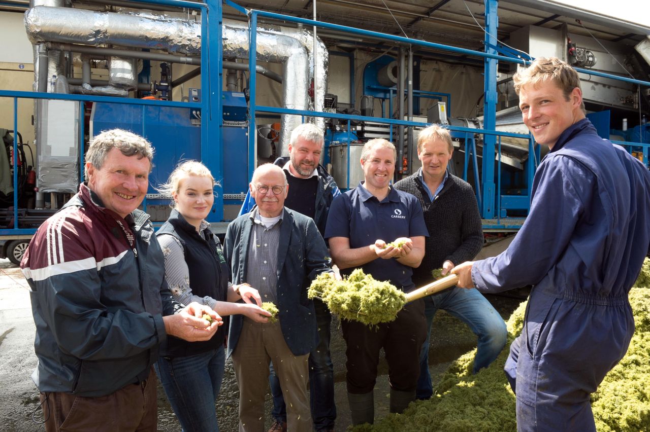 Processing grass to extract 'valuable constituents' in Cork