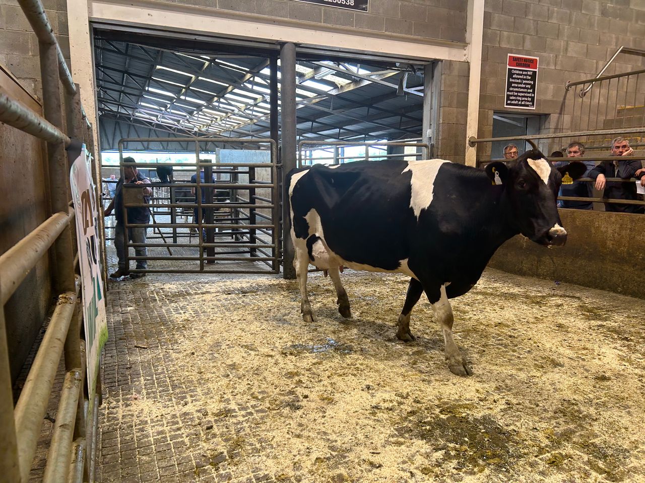 Lot 31 sold for €1,700