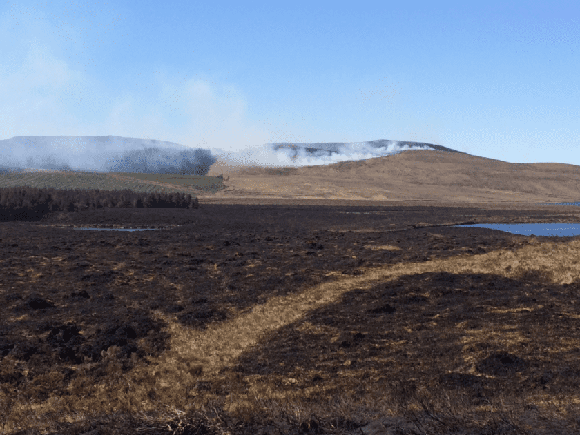 ‘Excluding illegally burnt land from farmers’ BPS applications is not fair’