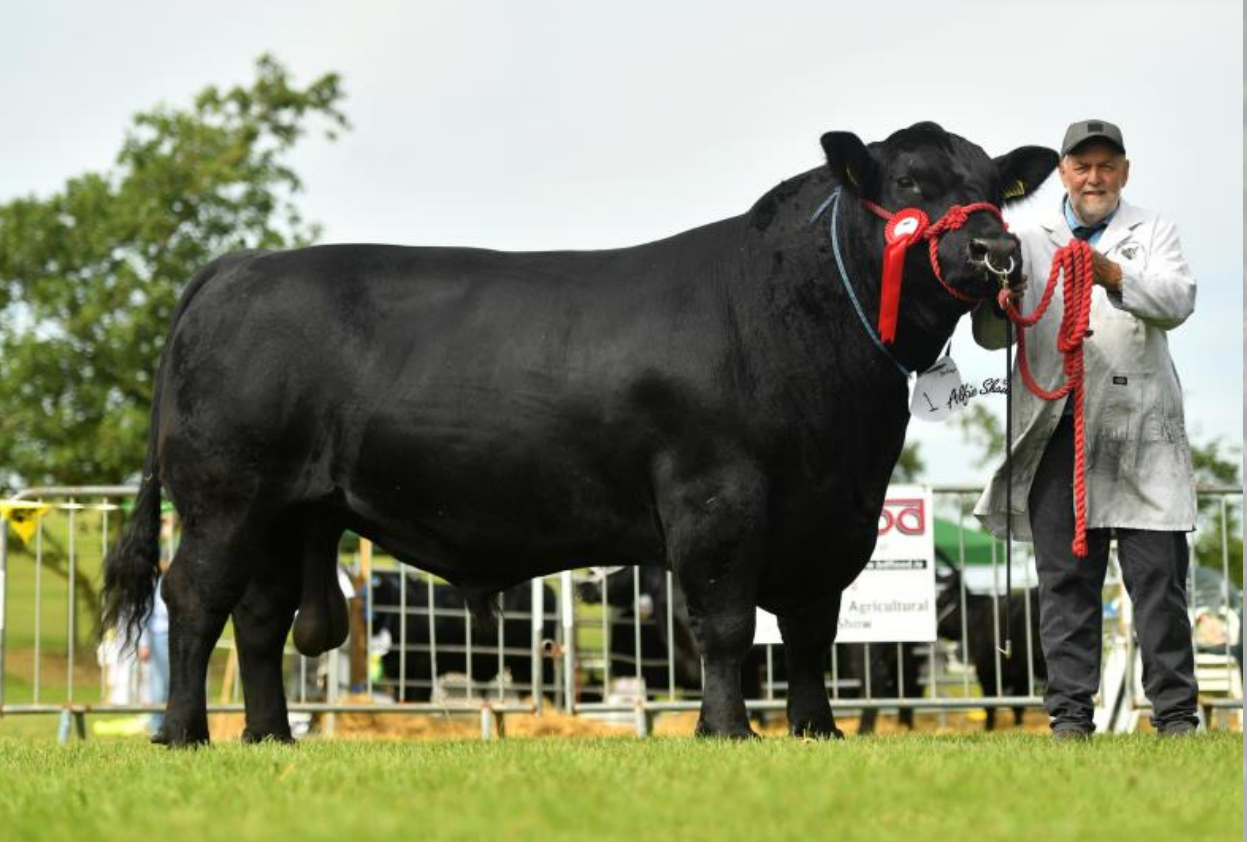 Famous Angus Herd set for 'major' reduction sale