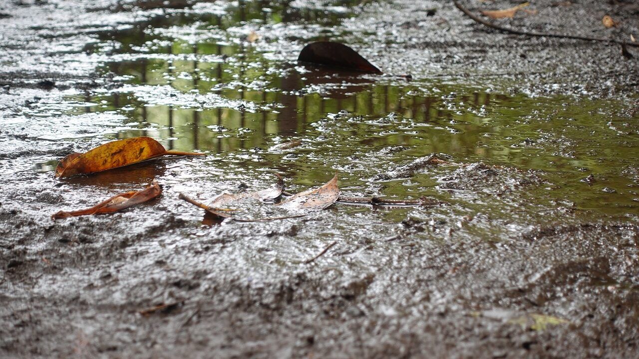 Met Éireann issues rain warning for 3 counties in south-west