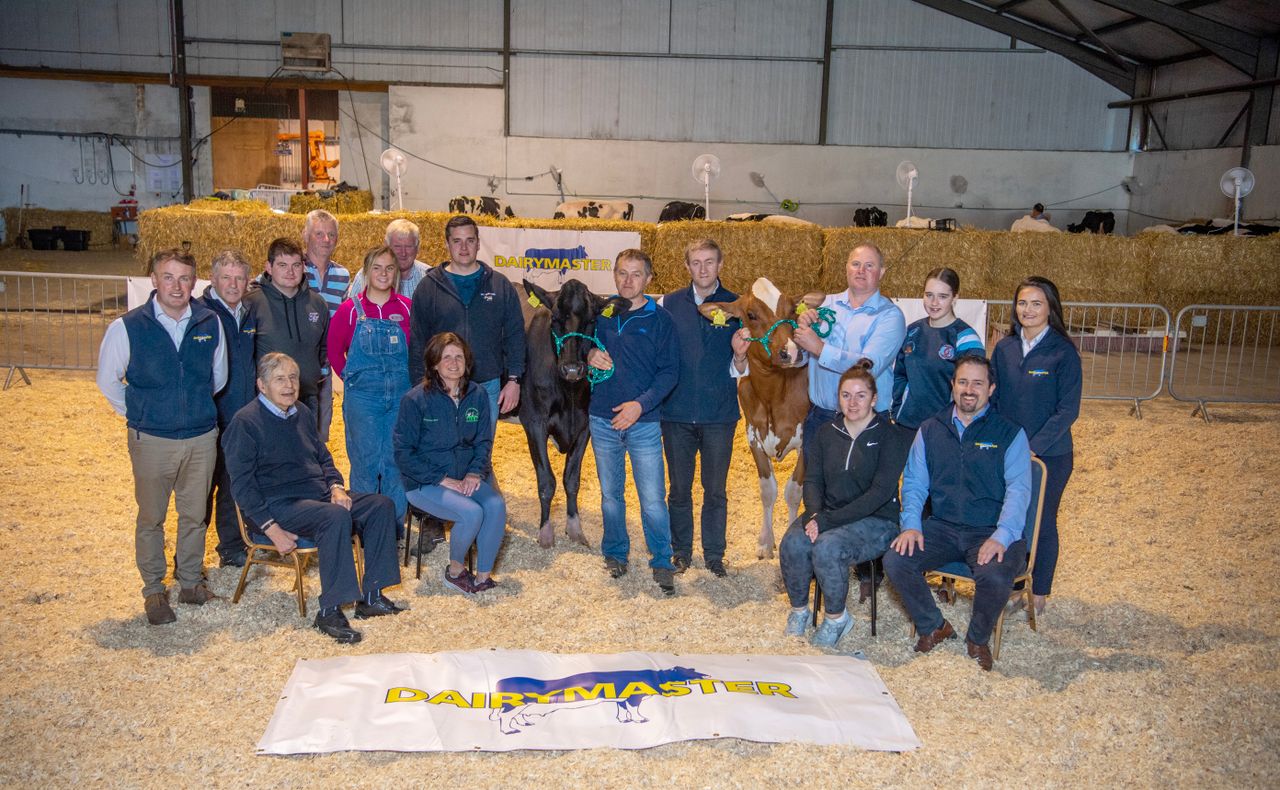 Kerry Holstein Friesian Breeders launch herds competition