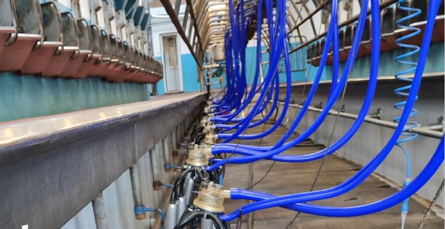 New higher cert milking machine programme unveiled
