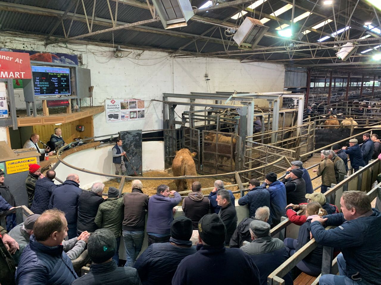 Mart report: Heavy bullocks cross €2,650 in Carnaross