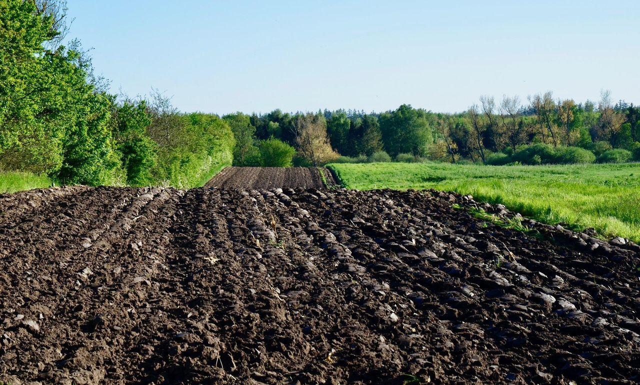 CSO: 58,645ac of agricultural land sold in 2021
