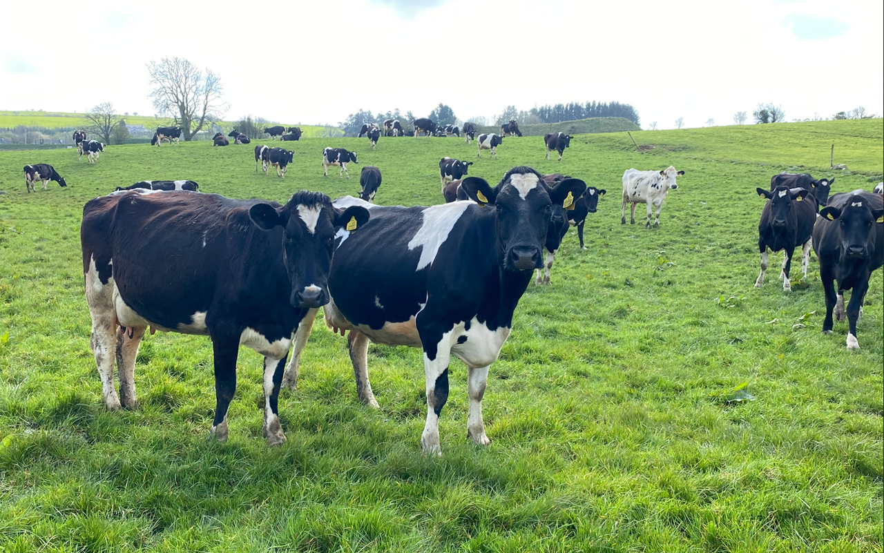 Watch: EU-US trade deal 'not welcome at all' - Mulvihill