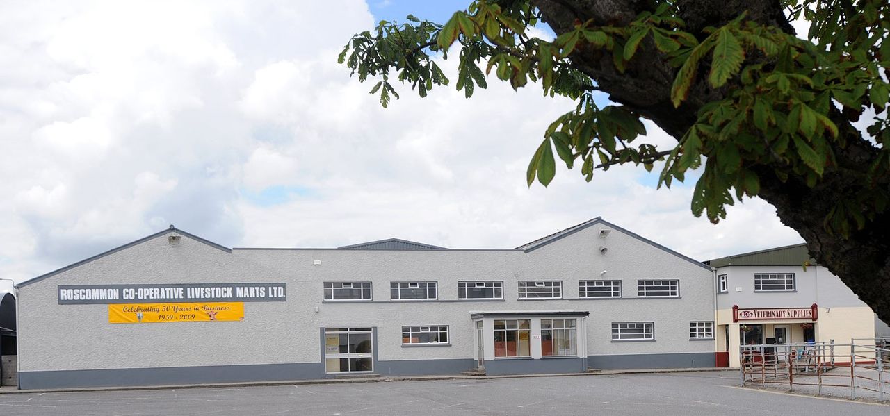 Roscommon Mart says no change to sales amid exporter threat
