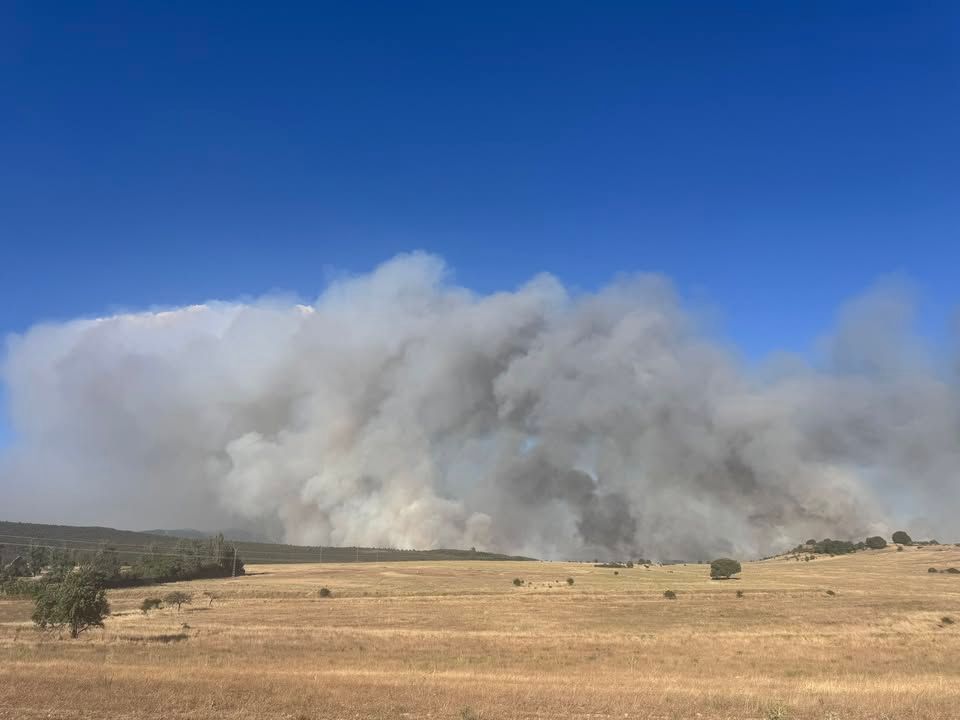 Agricultural regions face wildfires in three European countries