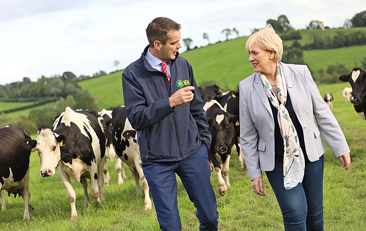 IFA welcomes dairy permits and calls for 'same approach for pig and poultry'
