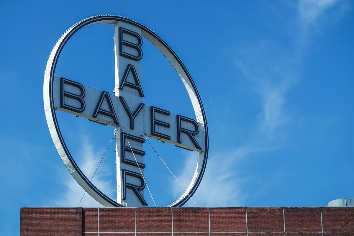 Is Bayer preparing to buy Monsanto?