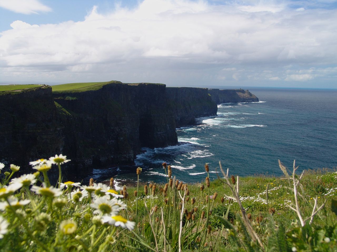 'Centralised dashboard' for Irish nature-related data recommended