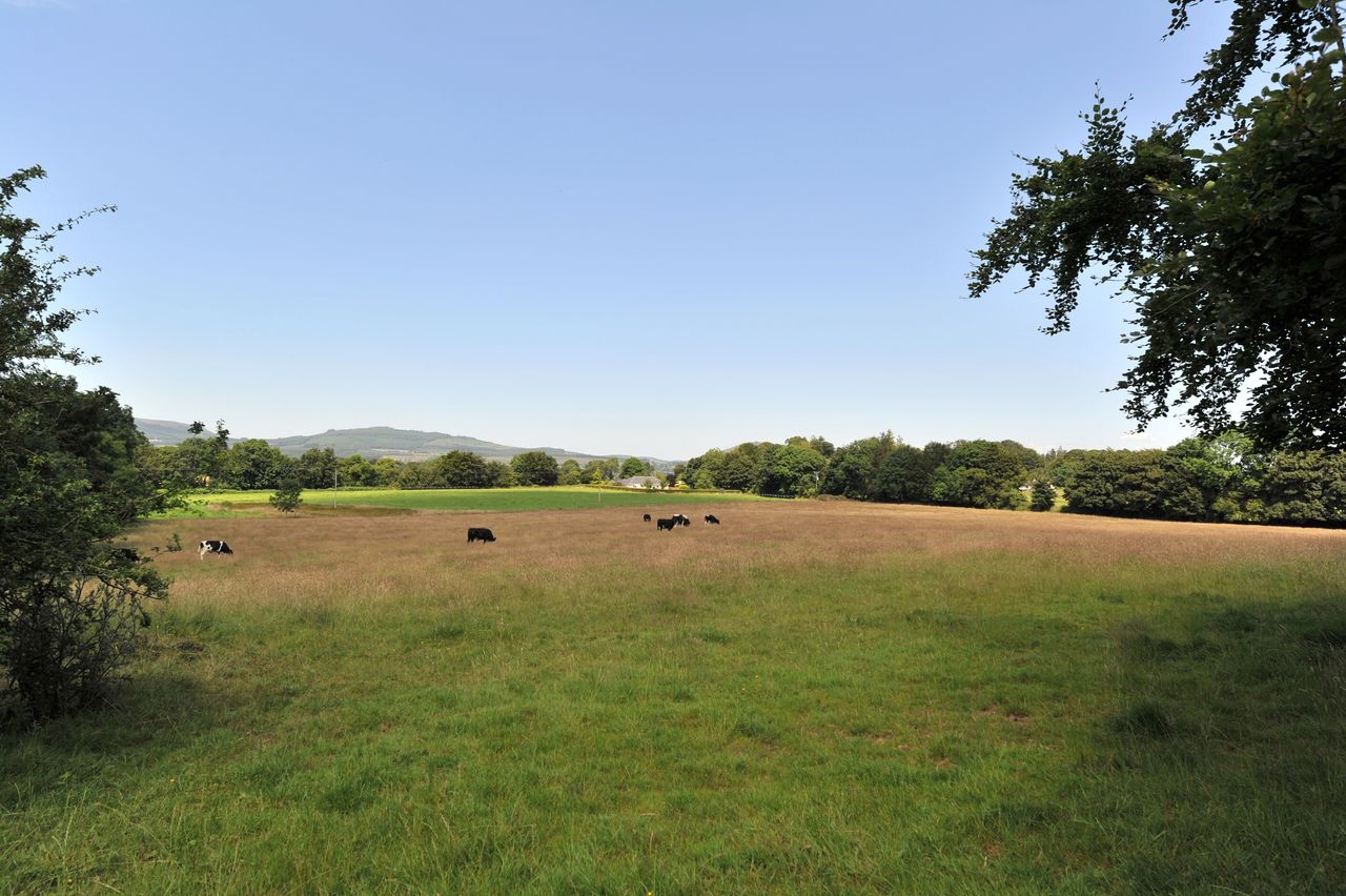 49ac residential farm at Kildorrery, Co. Cork for sale