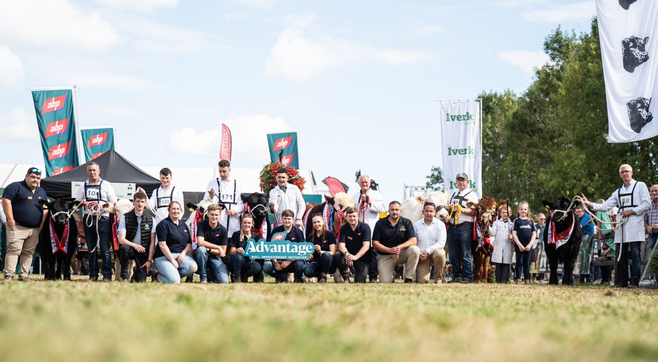€37,700 in prizes for ABP Beef Bulls of the Future at Iverk Show