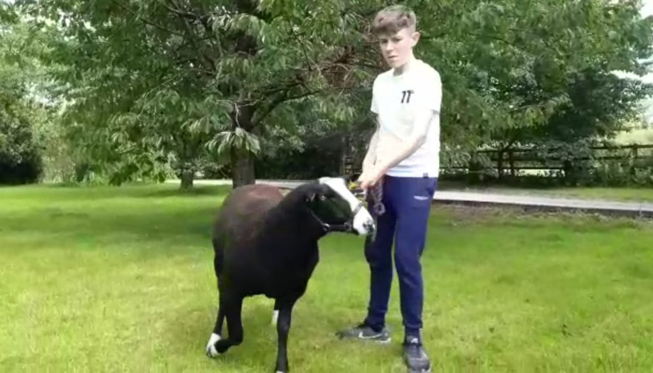 Teen's Zwartbles in the picture of 'Village People Portraits'
