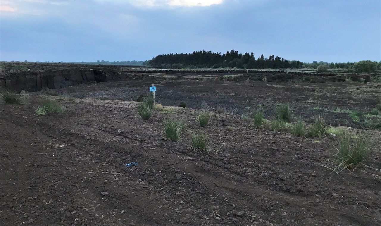 Animal remains dumped in Co. Meath bog again