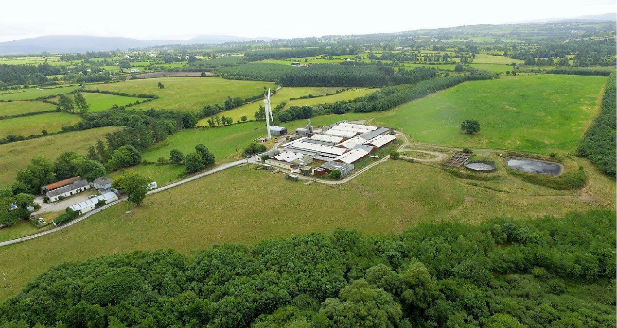 'Prime location' for 1,000-sow, fully integrated pig unit in Co. Waterford