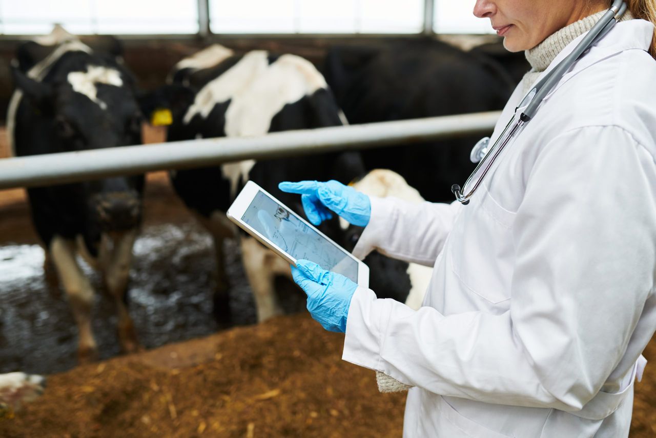 Vets being sought to work on Teagasc farms
