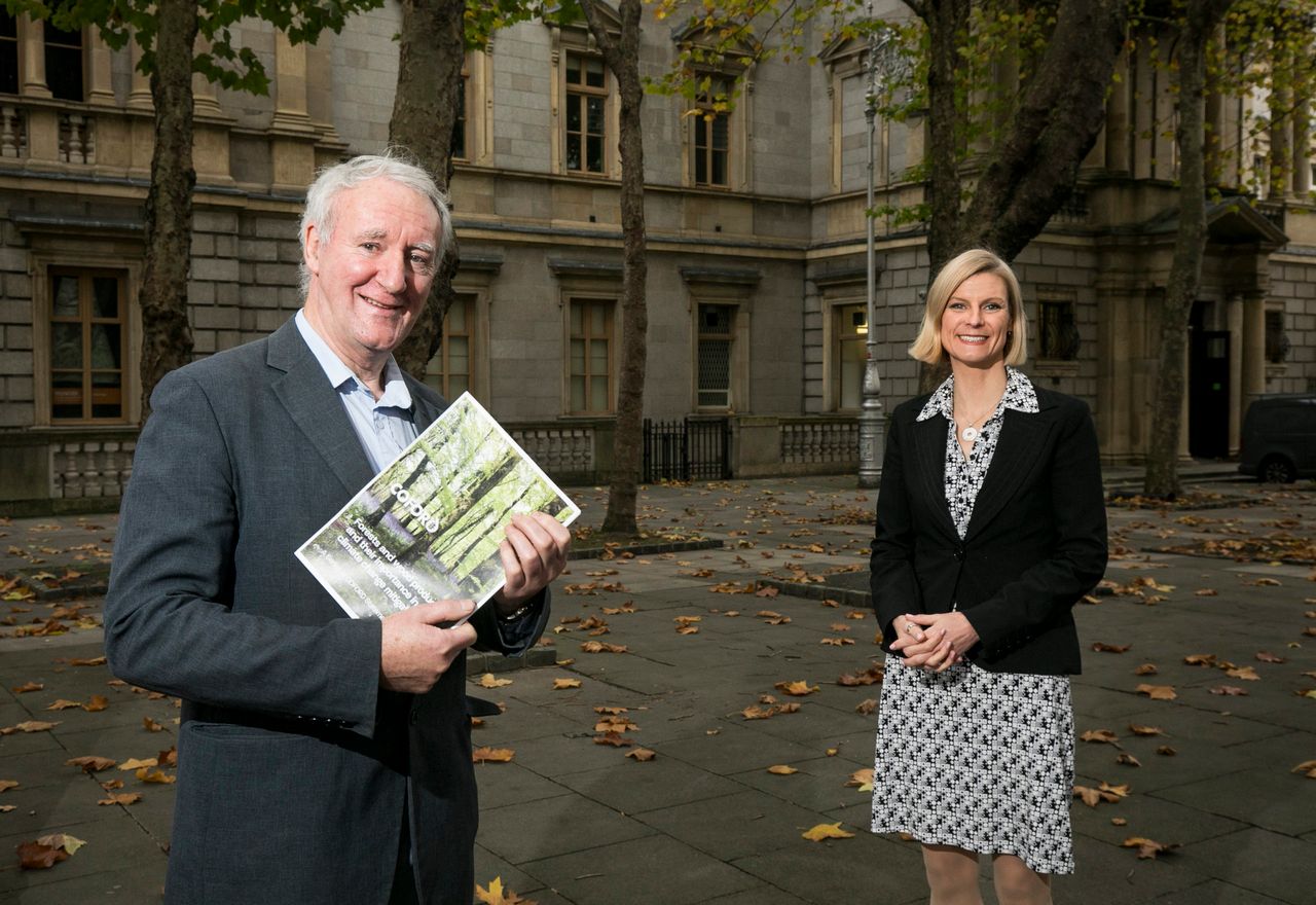 Forestry minister urges architects and builders to 'think timber'