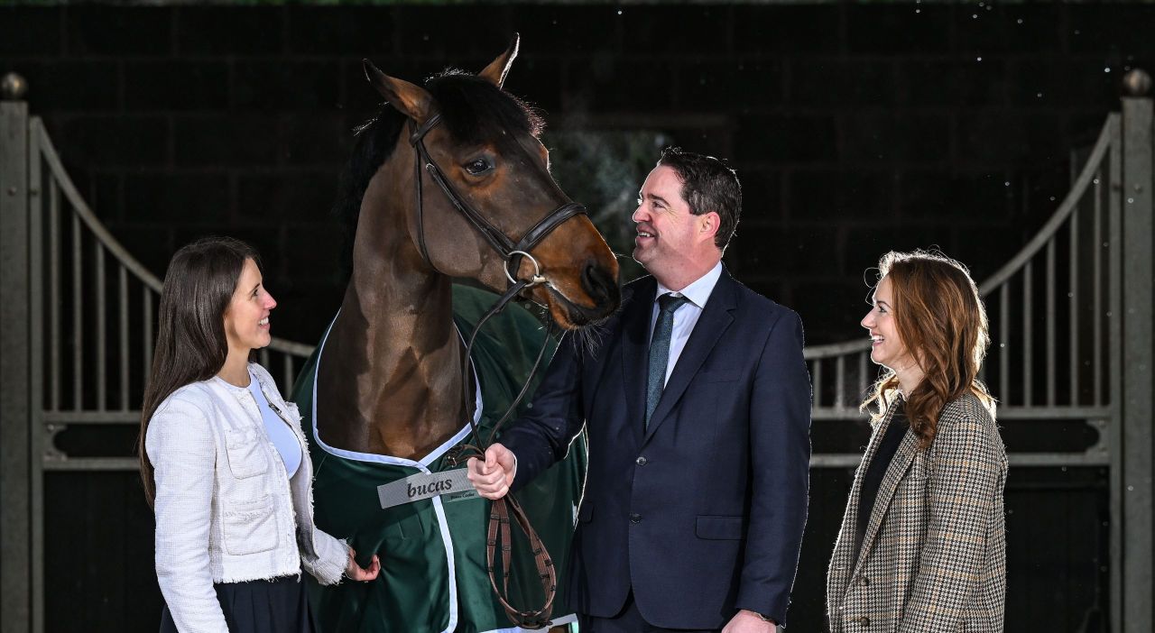 €600,000 allocated to 71 equestrian bodies in national breeding scheme