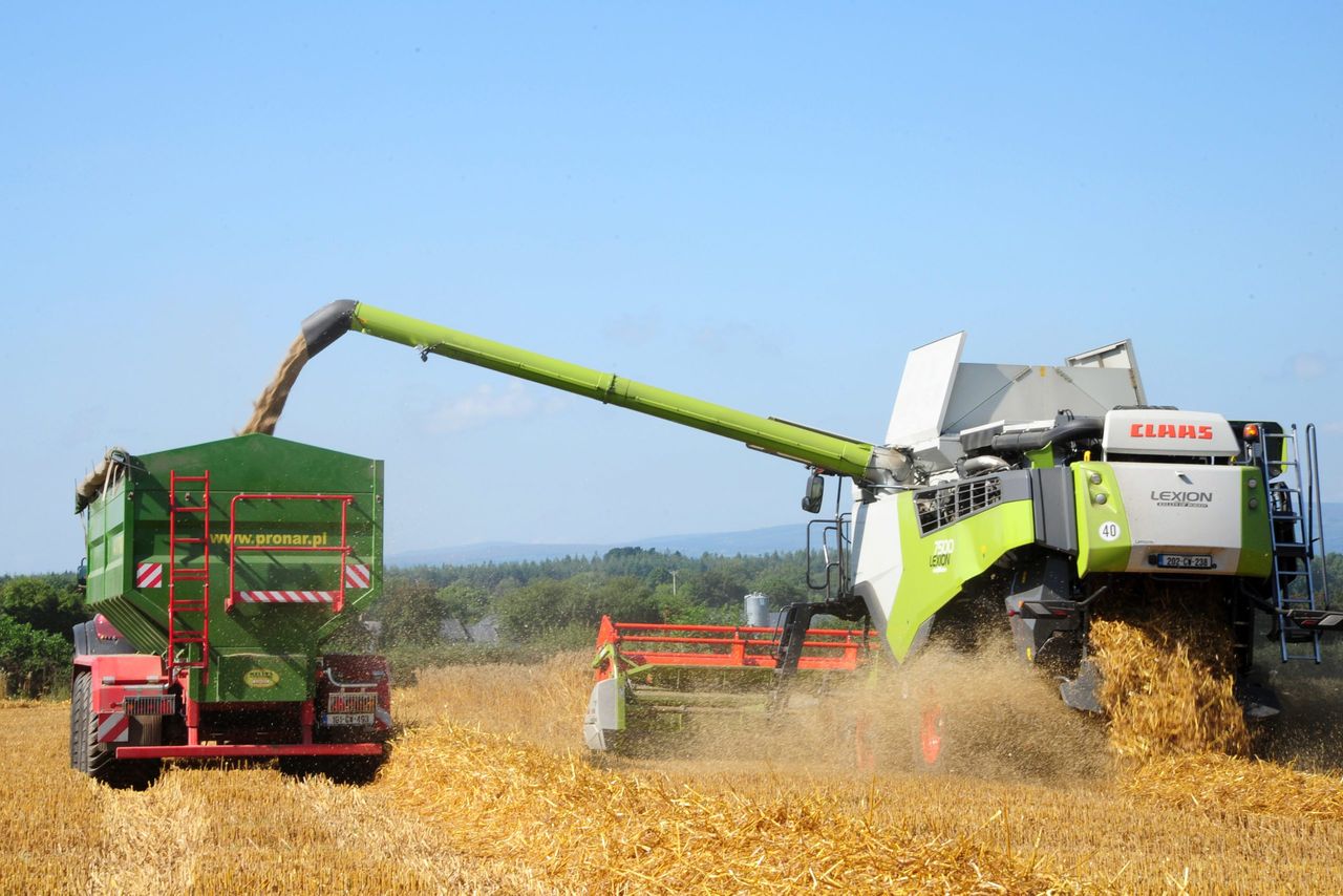 Part 1: A Kildare man’s experience of farming in Romania