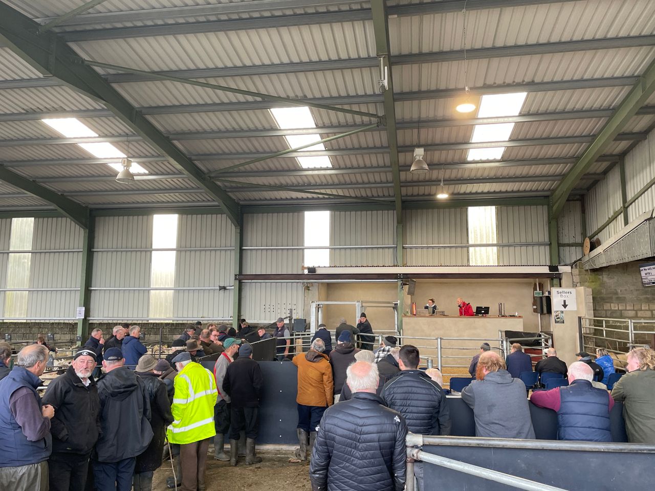 Sheep marts: Heavy lambs at Blessington Mart up €5/head