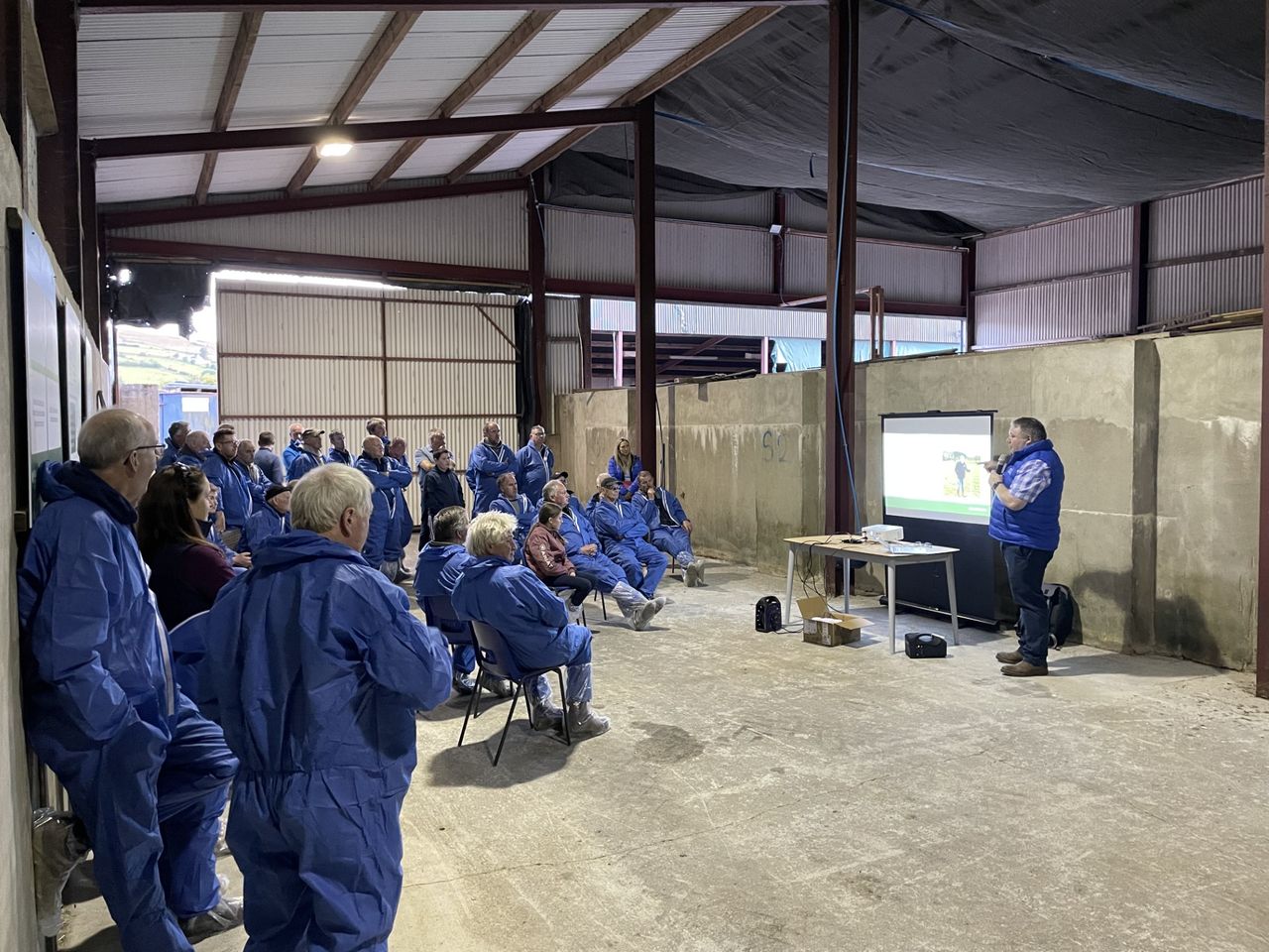 CAFRE sheep farm walk explores use of white clover in grazing