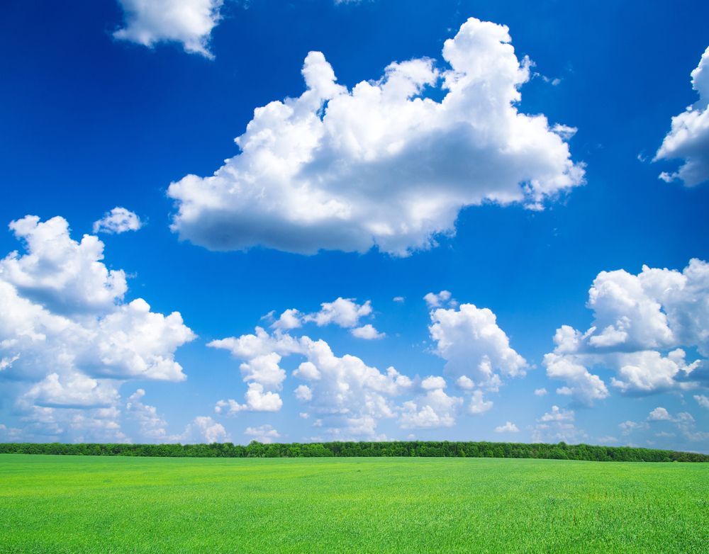 Met Eireann to rollout new tailored farming forecasts next year