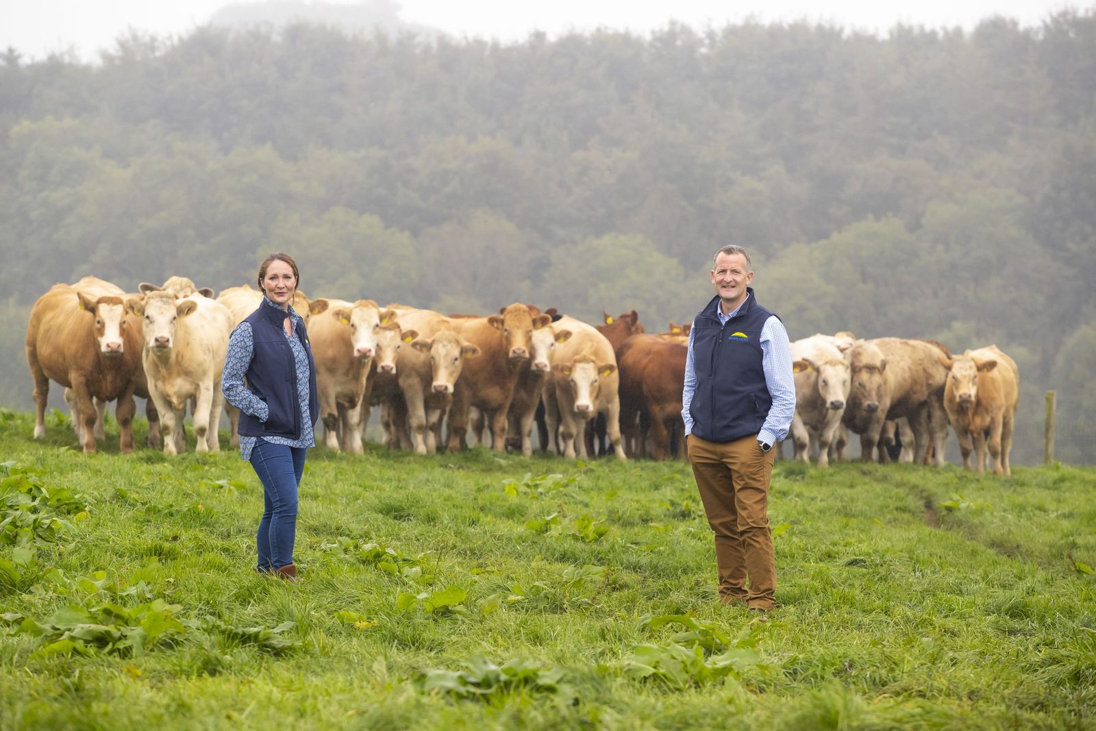 Dawn Meats reports 77% reduction in scope 1 and 2 emissions - Agriland.ie