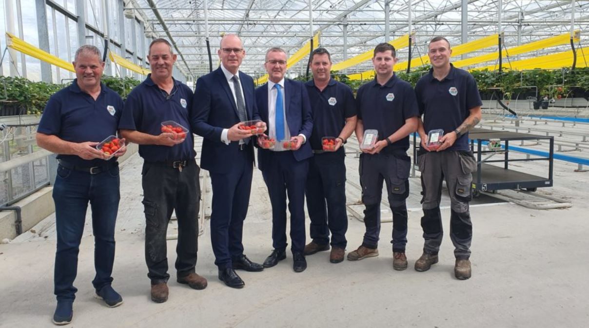 Horticulture: 'Severe pressure' on growers outlined to Coveney at meeting