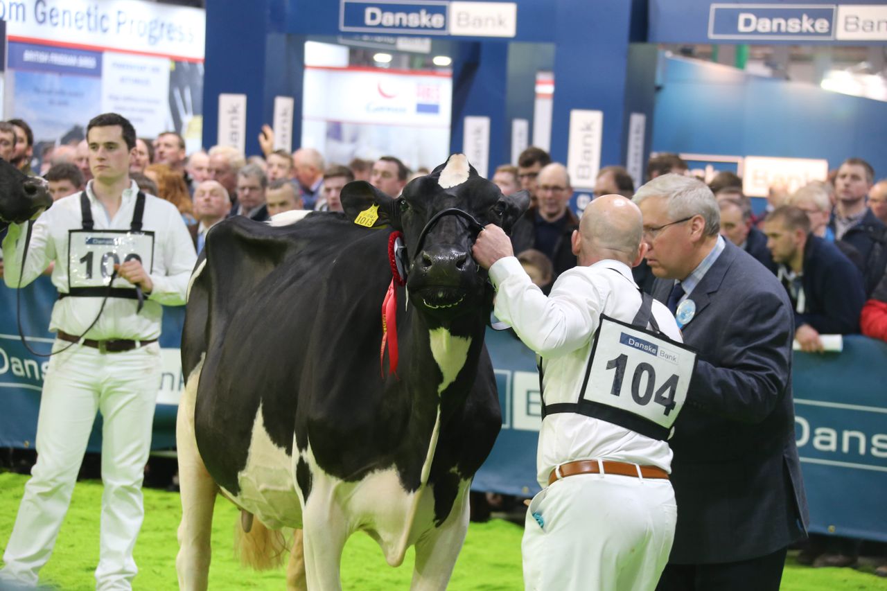 RUAS Winter Fair to be streamed online