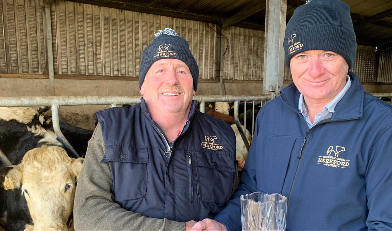 Ex-dairy farmer wins Irish Hereford Prime Farmer of the Year title