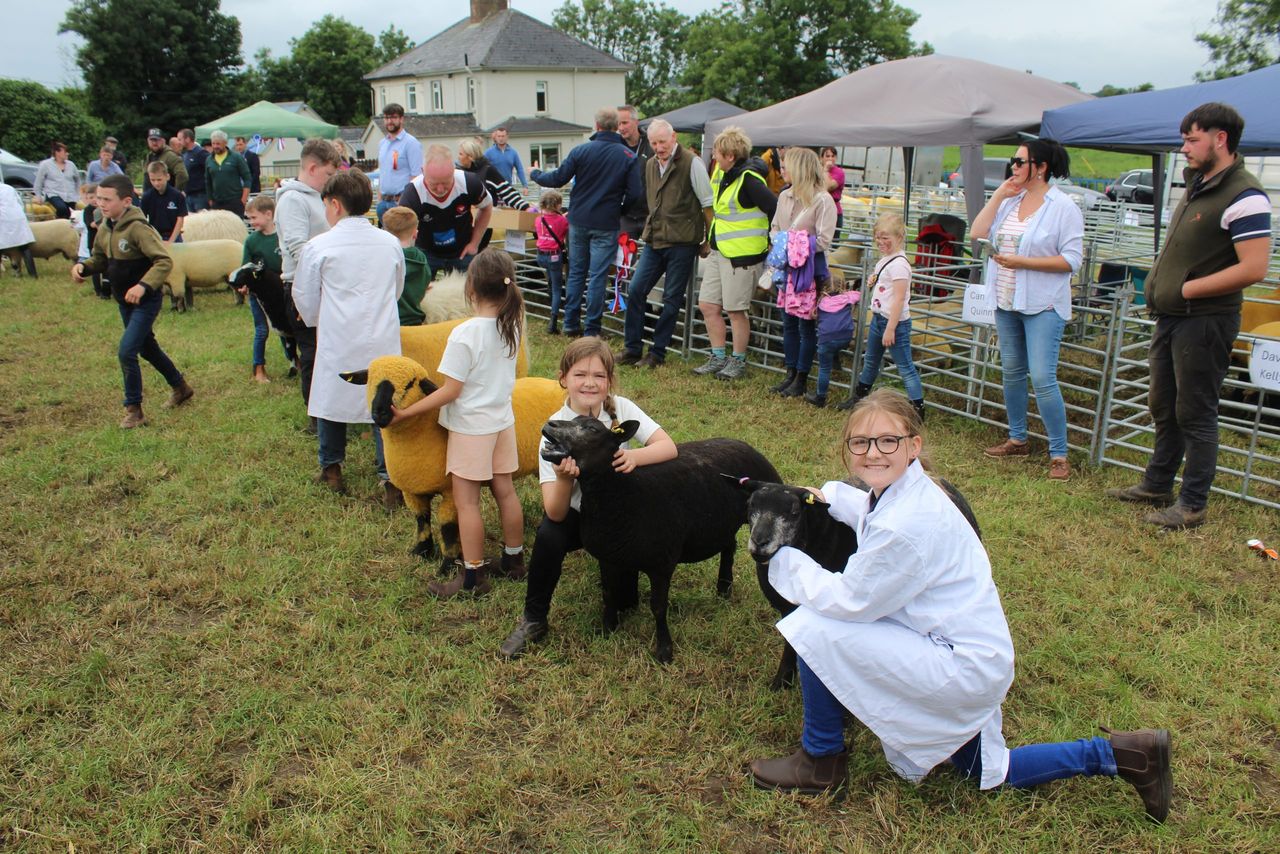 Elite Simmental cow takes Newry Show 2025 beef inter-breed championship