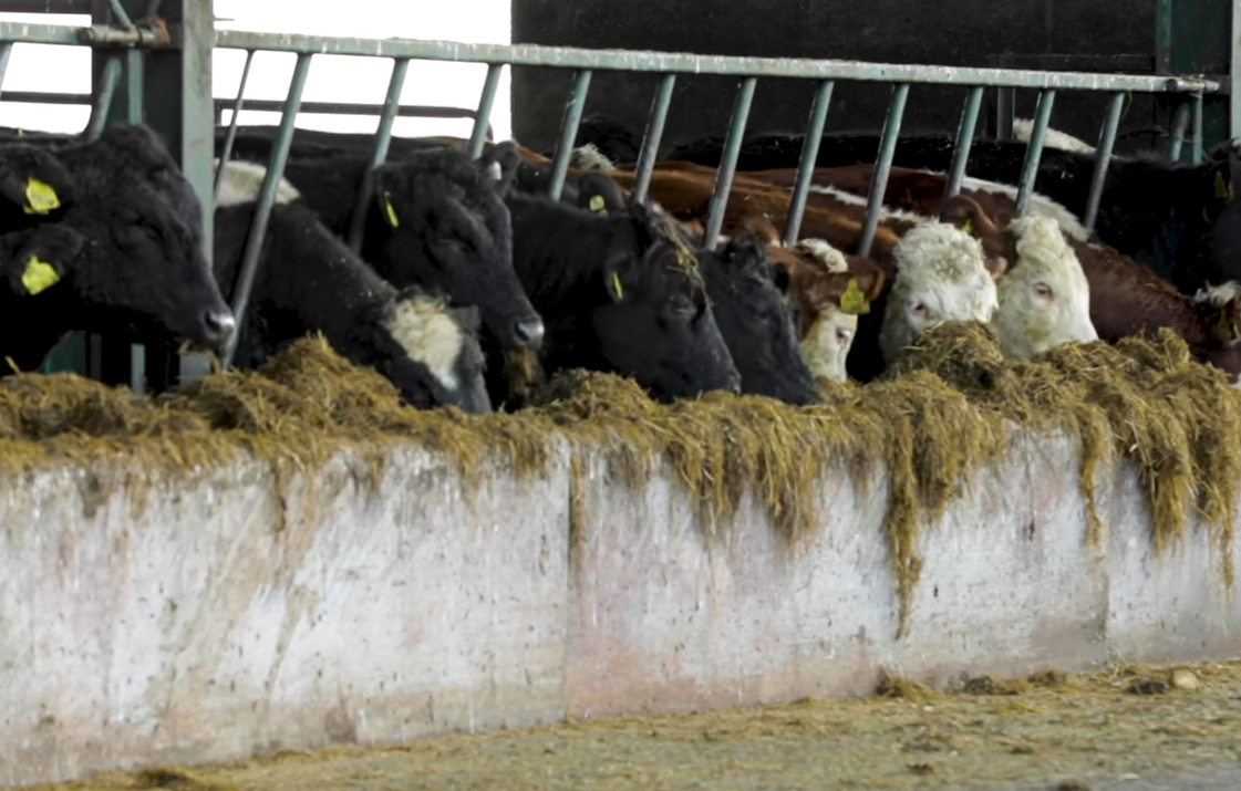 Opinion: Time to start planning for a six-month winter