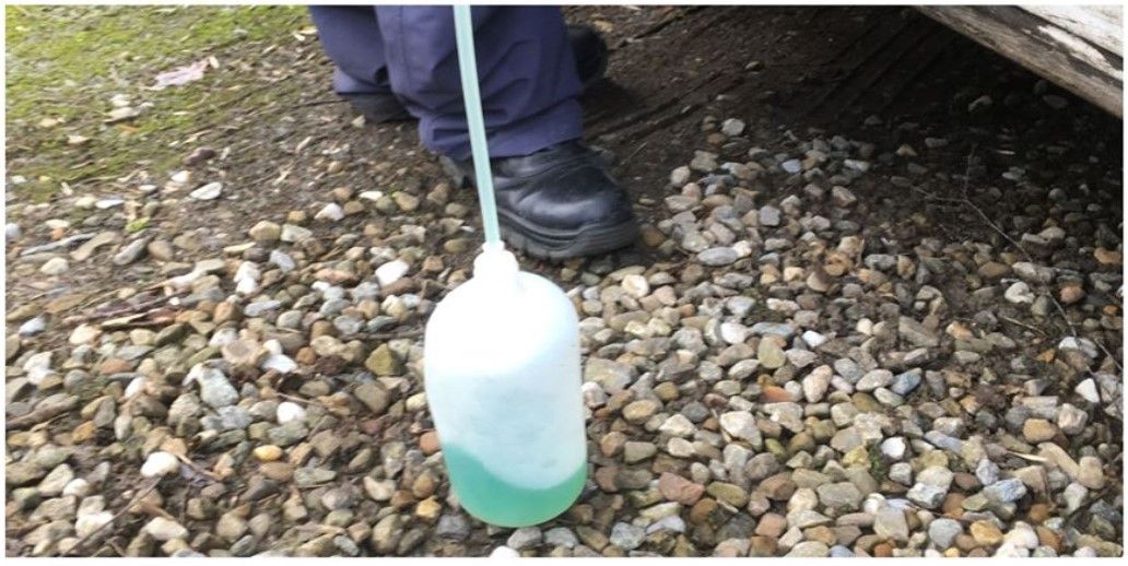 Colour combo crime: Car pulled on green diesel...and kerosene