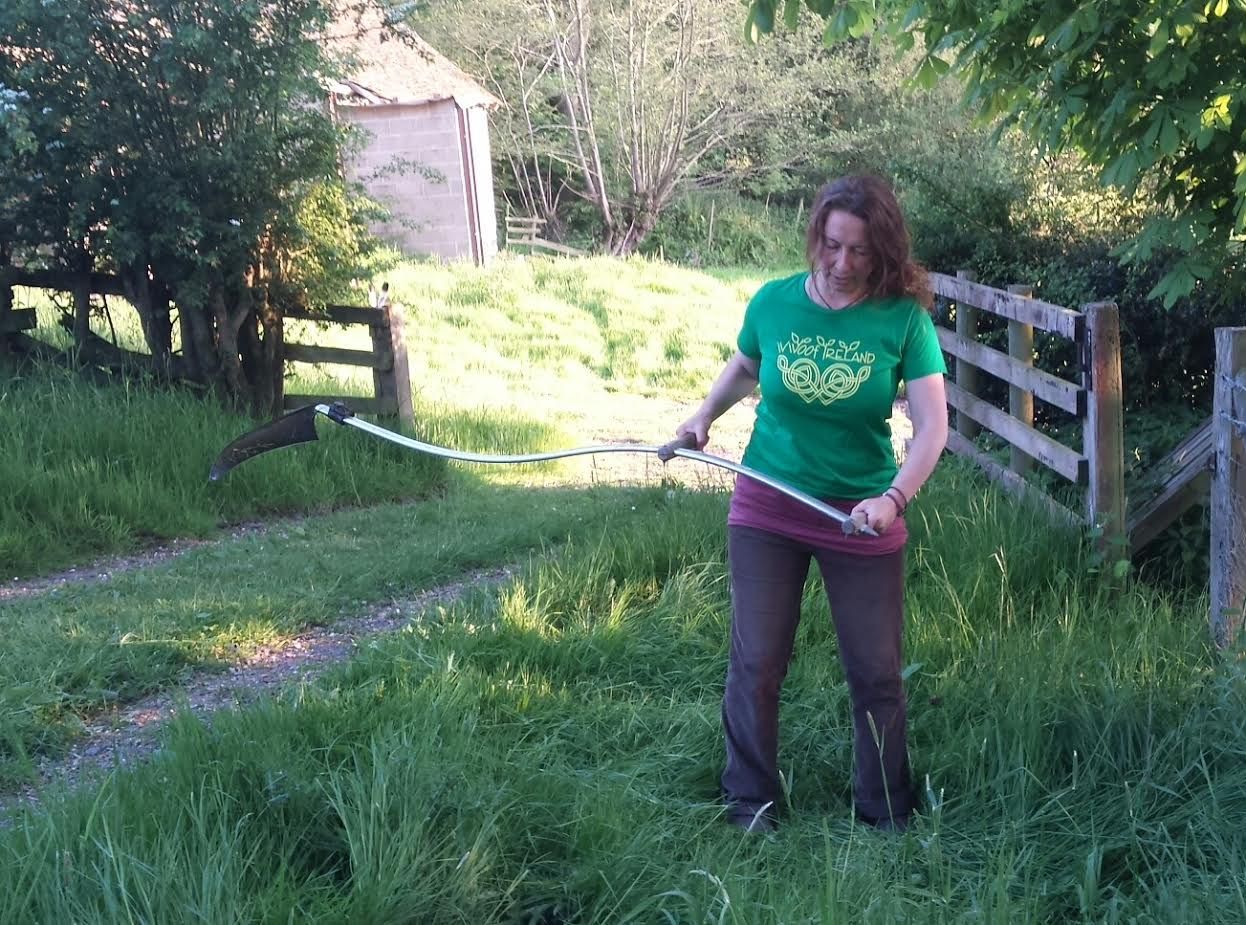 'WWOOFing' wins over growing band of Irish organic farmers