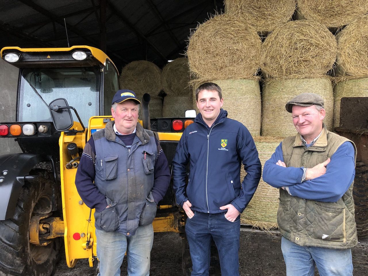 Elite Angus sale to attract €3,000 subsidy winners