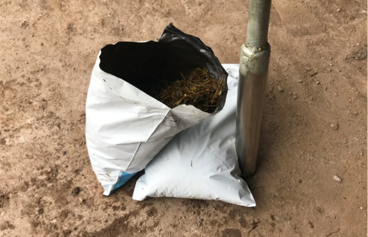Green Acres: Analysing silage quality across all participating farms