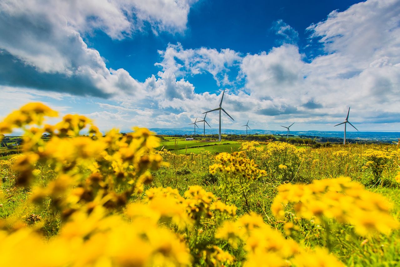 Irish Wind Energy Association rebrands as Wind Energy Ireland
