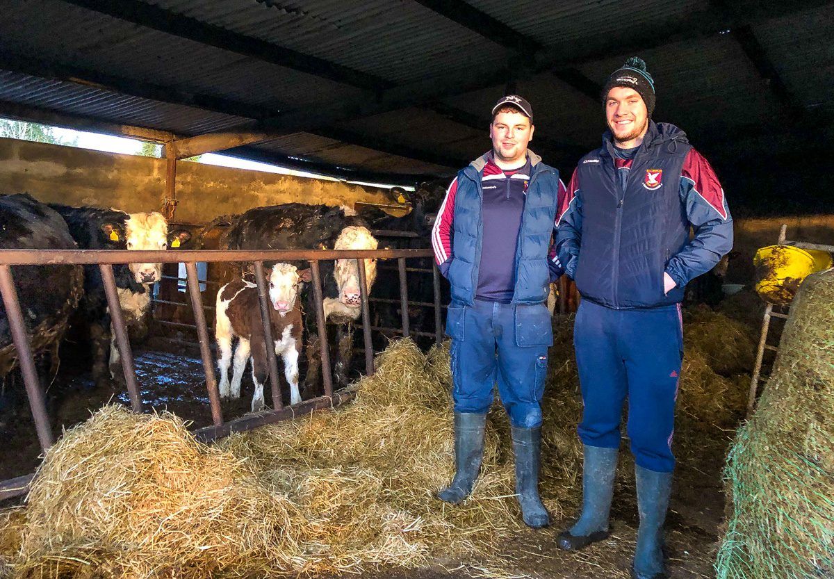 Farmers of Mullinalaghta have 'bull's eye focus' on battle ahead