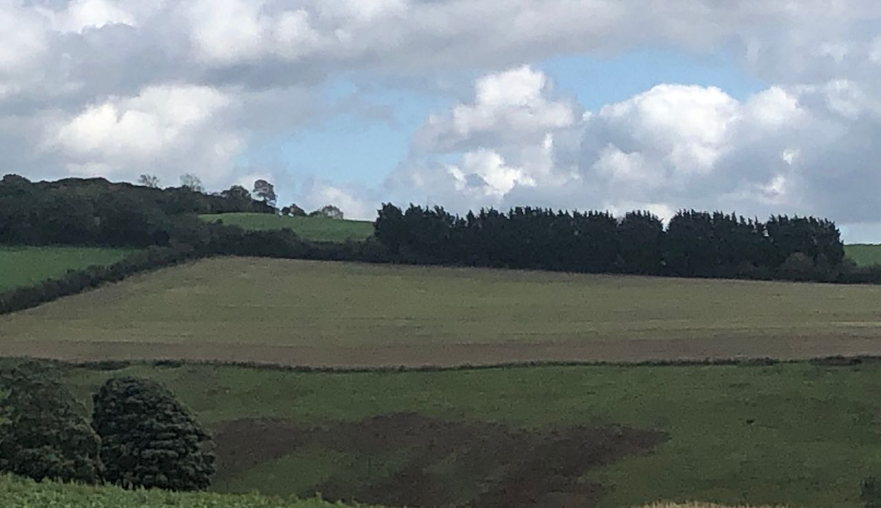 Choices aplenty as several plots of land for sale in Co. Kildare