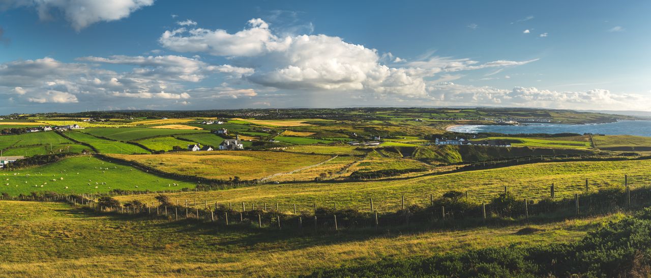 OEP: 'Urgent action' needed to safeguard the future of nature in NI