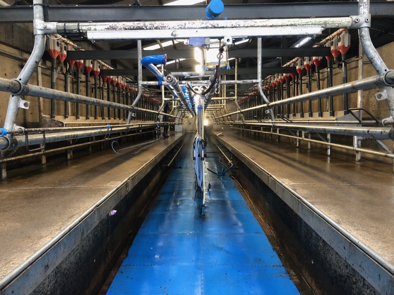Milk Price Tracker: How does your milk price shape up?