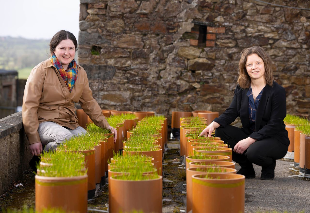 VistaMilk SFI Research Centre appoints new funded investigator