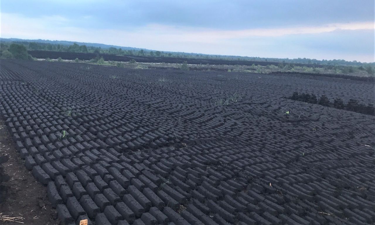 Nature restoration 'fight' must continue - Green Party