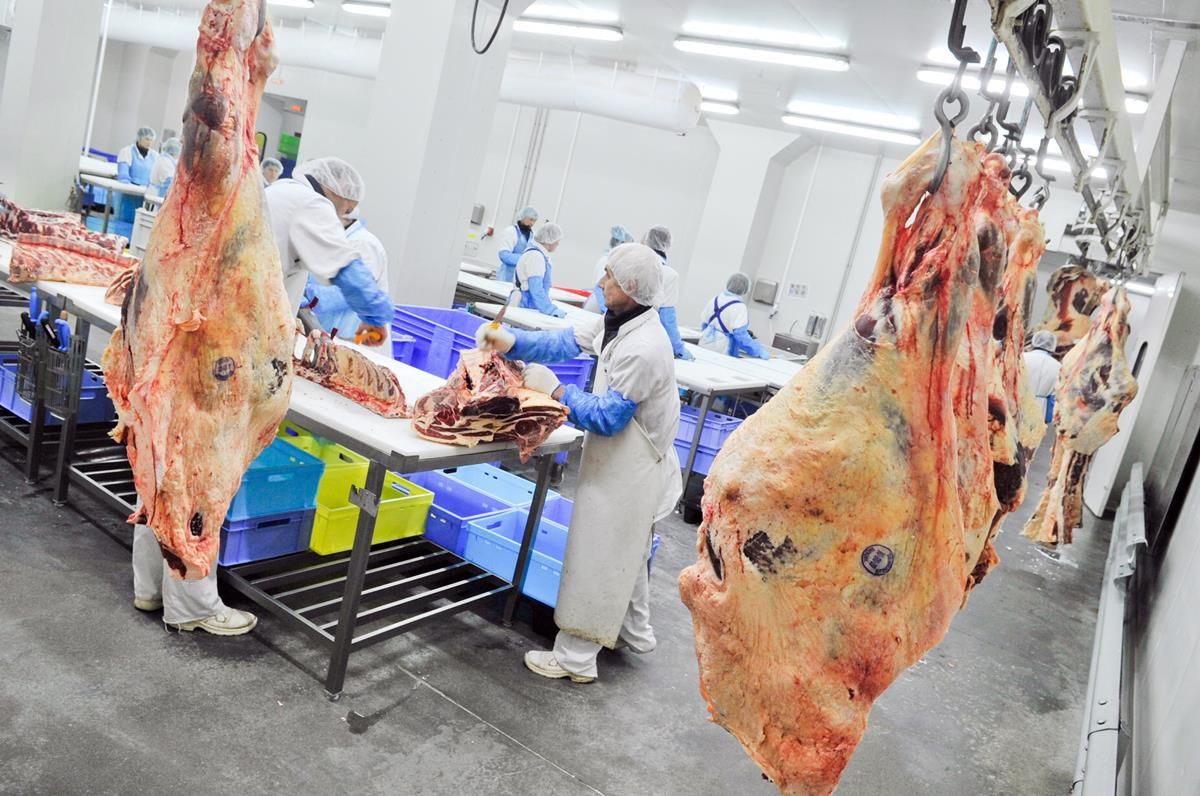 Balance of play shifts back towards the farmer in beef price game